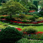 Outdoor Parasols for Your Garden Space: Shade Done Right