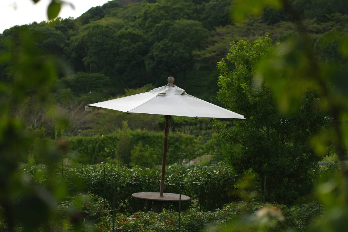 What Is Garden Furniture? Your No-BS Guide to Outdoor Living Done Right